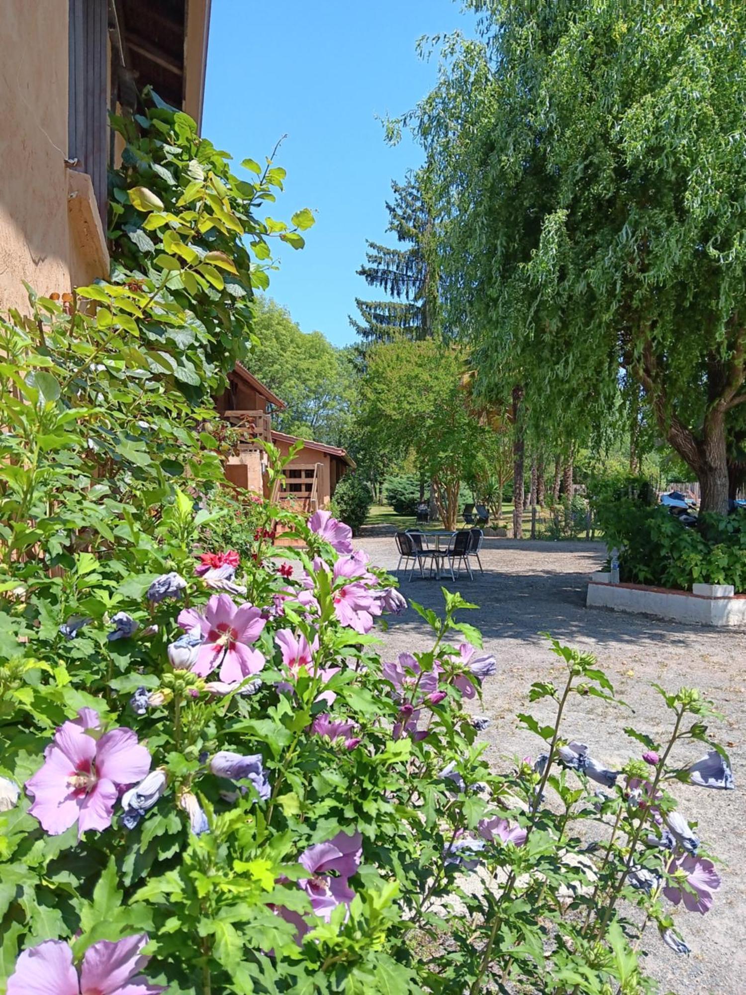 Gite Au Moulin Du Comte Bourrouillan Zewnętrze zdjęcie